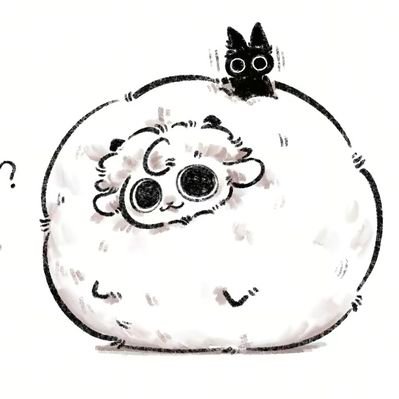 YN988998's profile picture