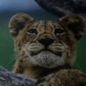 Profilbild von BU_Manno