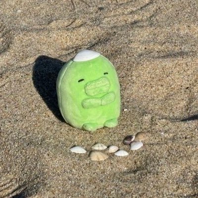 挞米's profile picture