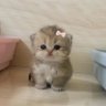 wonderpang 🍀🎉 profil fotoğrafı