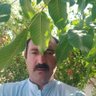 Raja Salam's profile picture