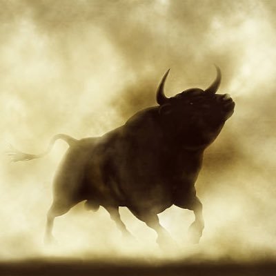 Toro©'s profile picture