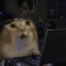 百分百纯种オタク's profile picture