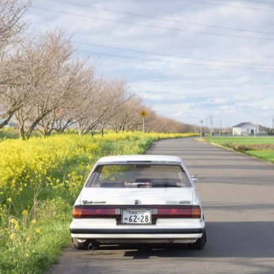 IsdSn's profile picture