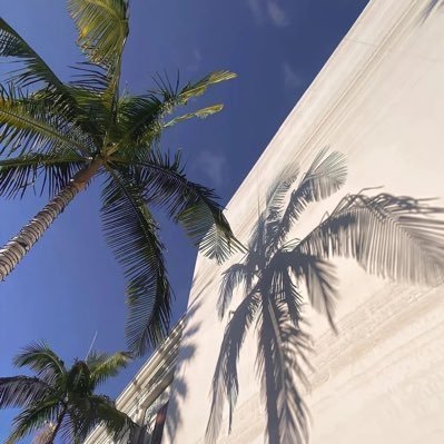 Ttdz88's profile picture