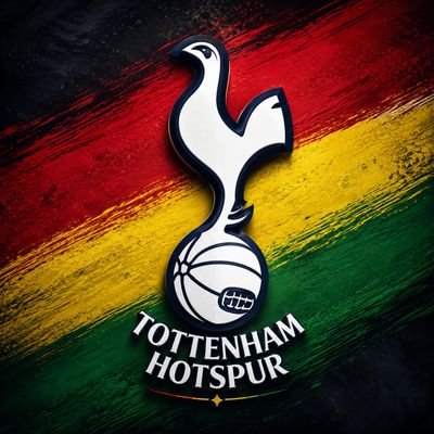 SpursBol's profile picture