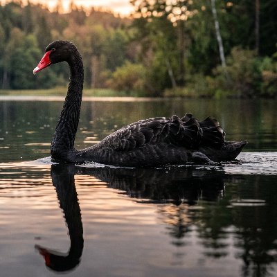 520_themoonandback's profile picture