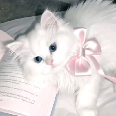 Phanumas23's profile picture