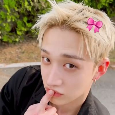 화야🔗🐺's profile picture