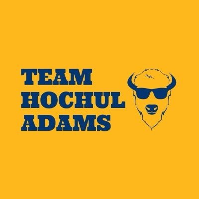 Team Hochul Adams's profile picture