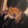 Profilbild von はる💫