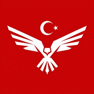Yolum Beşiktaş's profile picture