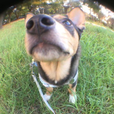 리챠's profile picture