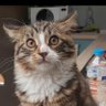 Фото профиля Marcel lechat
