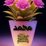 مسلم سني's profile picture