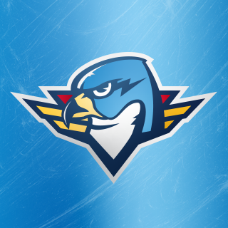 ThunderbirdsAHL's profile picture