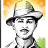 Common Indian profil fotoğrafı