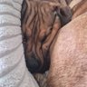 Alien's profile picture