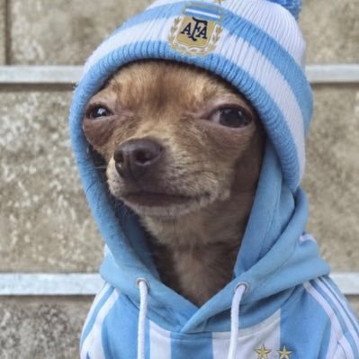 fra 🐺's profile picture