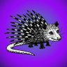 Фото профиля porcupossum