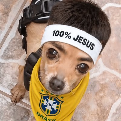 CentralNargas's profile picture