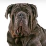 Olexandr's profile picture