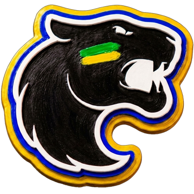 FURIA's profile picture