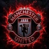 RedDevilArena's profile picture