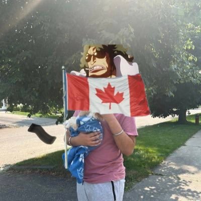 Paulbull's profile picture