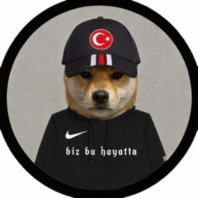 rasheedvekili's profile picture