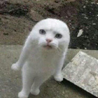 nhy (slow)'s profile picture