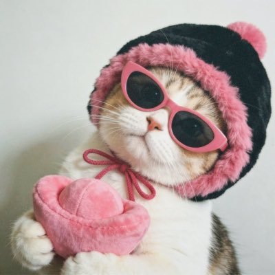 ruby's profile picture