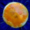 Teh_Gallardo's profile picture