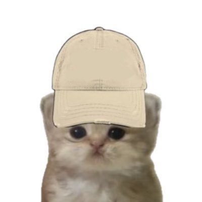 onecokr's profile picture