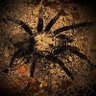 Фото профиля Killer Spider