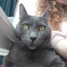 Alma RT profil fotoğrafı