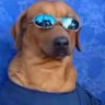 Profilbild von caramelo autista