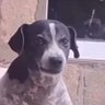 retarded nigga profil fotoğrafı
