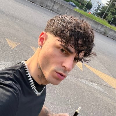 LorenzoSicc's profile picture