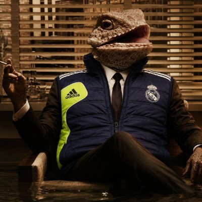 Don Lagarto's profile picture
