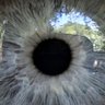 Profilbild von TunaOfTheSky