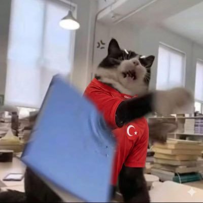 Altay Cem Meriç’in Rahlesi's profile picture