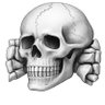 OWLM's profile picture