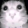 TherealTomato12 profil fotoğrafı