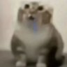 toka's profile picture