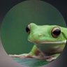 Profilbild von .