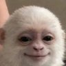 Profilbild von TURI