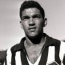 Garrincha Sóbrio's profile picture