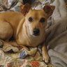 Фото профиля Chloe in Texas