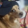 Profilbild von JCisKing